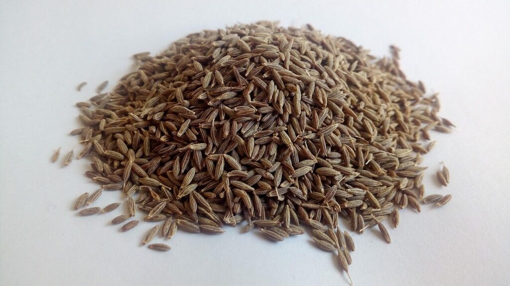 cumin, white cumin, herbs, ayurveda, medicinal herbs, healthy, cumin, cumin, cumin, cumin, cumin