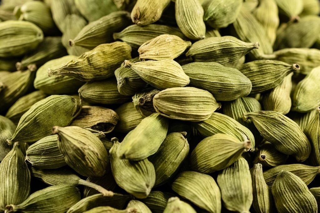 Cardamomo