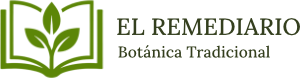 El Remediario